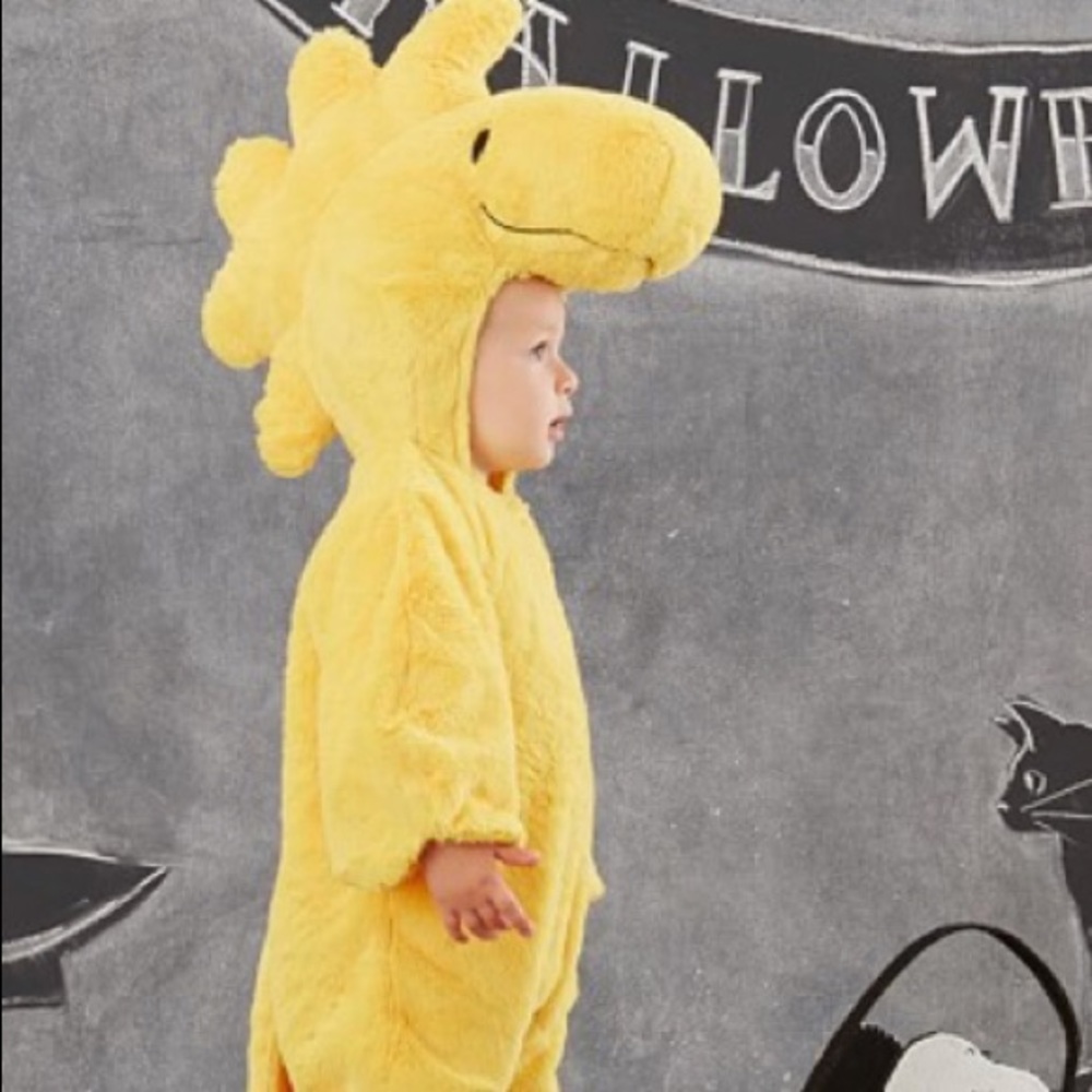 Pottery Barn Kids Woodstock Costume